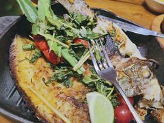 -云海肴·汽锅鸡·云南菜(天津国金汇店)