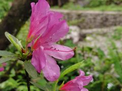 -西岭雪山大飞水景区