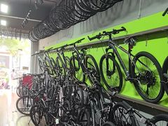 -道路口单车爱瓦士dahon大行