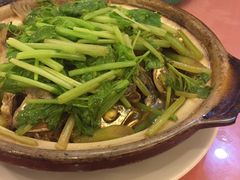 -深运潮州粥(东门店)