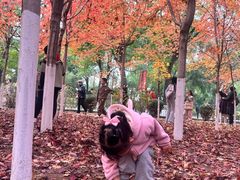 -辽宁大学(崇山校区)