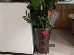 -御宝贝·A梦猫科宠物医院(国际猫友好医院)
