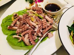 -中国饭店-餐厅