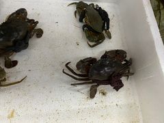 -渔人湾码头海鲜市场负二楼