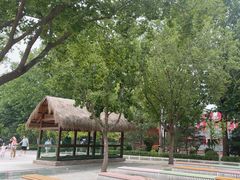 -南宫五洲植物乐园