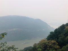 -铁山坪森林公园