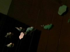 -Dragonfly悠庭·按摩Spa(静安嘉里中心店)