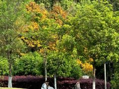 -沙河三洞古桥公园