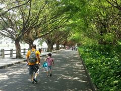 -大湾区中央湿地公园