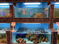 水产区-王庄阿咪海鲜大排档(上下杭店)