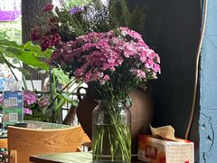 -萨尔瓦多Salvador's