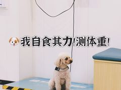-美联众合动物医院·24h京西诊疗中心