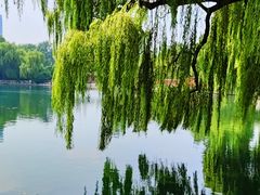 -百脉泉景区