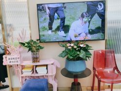 -万阡国际专业祛斑·祛痣·祛疤连锁