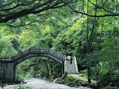 -广州市石门国家森林公园