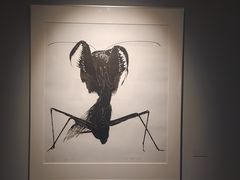 -上海虹桥当代艺术馆