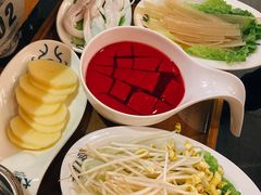 -大龙燚火锅(南山大道店)