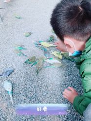 -萌宠亲子动物乐园(槐房万达店)