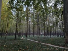 -河南省黄河迎宾馆