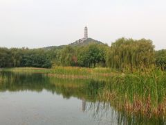 -北坞公园