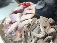 -洪氏嗨捞·猪肚鸡火锅(阳光天地店)