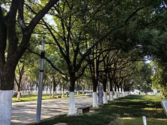 -天鹅湖体育公园