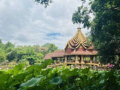 -西双版纳勐泐文化旅游区