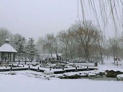 -大望京公园