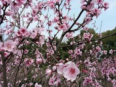 -大宁灵石公园西门票处