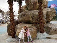 -芜湖新华联大白鲸海洋公园