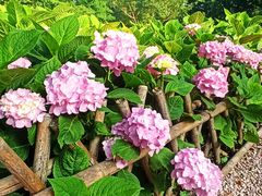 -共青国家森林公园-售票处