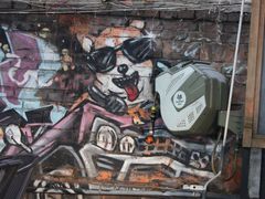 -柴犬高等学院·狗咖·柴犬售卖·宠物训练