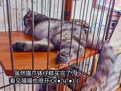 -元氏钵仔糕(北京路店)