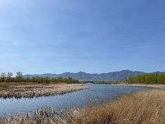 -野鸭湖国家湿地公园