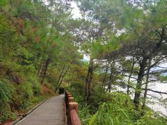 -羚羊峡古栈道森林公园