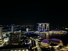 -新加坡瑞士史丹福酒店