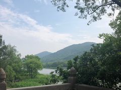 -长广溪湿地公园