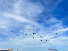 -黑龙江扎龙生态旅游区