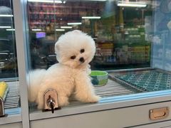 -FAELING PETS美天灵宠物(合生汇店)