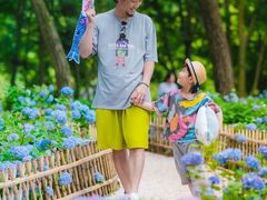 -共青国家森林公园-售票处