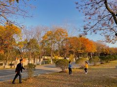 -南京市江宁方山
