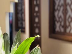 -鸽舞笙平金牌烧鸽子·融合菜(鲁谷店)