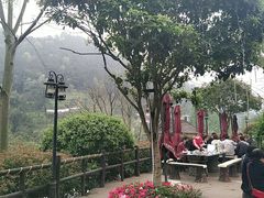 -楠柏弯休闲山庄(梨花溪店)