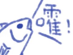 -锐菲特游泳体育健身中心(滨江店)