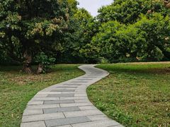 -荔香公园