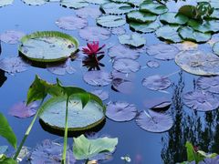 -国家植物园南园