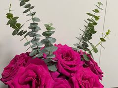 -双季花艺园艺市场(浦东店)