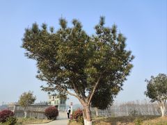 -万佛湖风景区