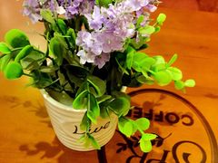 iphone_upload_pic-SPR COFFEE(兴正元店)