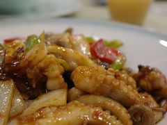 炒八爪鱼-渔娘渔家丹东海鲜(东直门店)